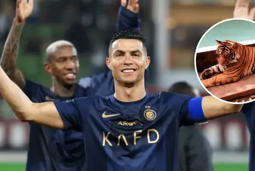 Jogador brasileiro postou foto no Instagram onde está próximo a um tigre