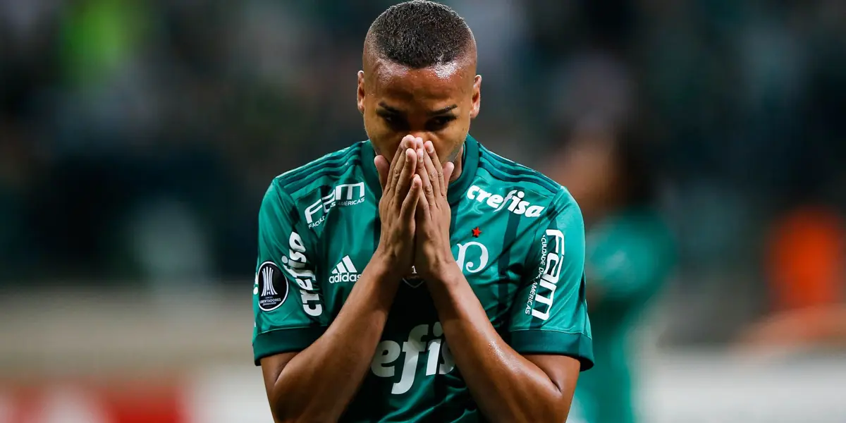 Jogador invadiu o campo durante jogada do gol de Dudu, que classificou o Palmeiras para a final da Libertadores