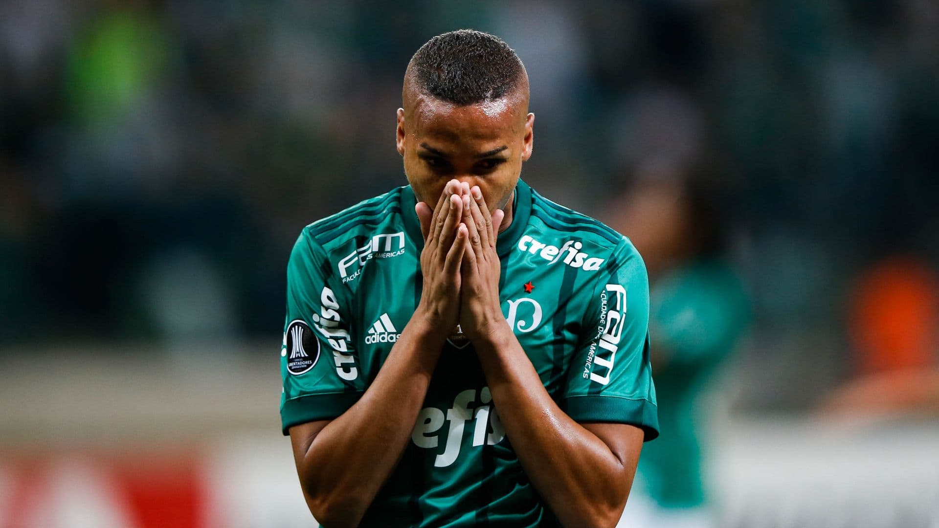 Jogador invadiu o campo durante jogada do gol de Dudu, que classificou o Palmeiras para a final da Libertadores