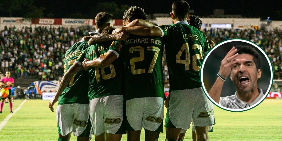 Jogadores do Palmeiras em destaque