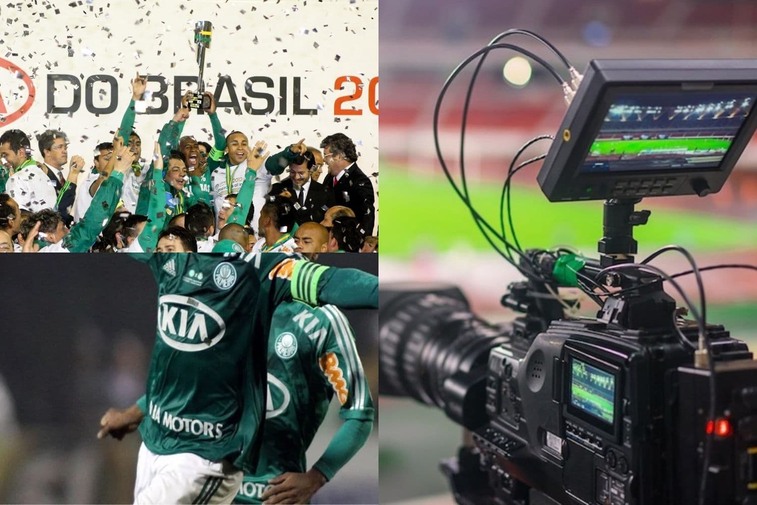 Marcos Assunção revelou mágoa do Palmeiras após ter sido o principal jogador do clube entre 2010 e 2012