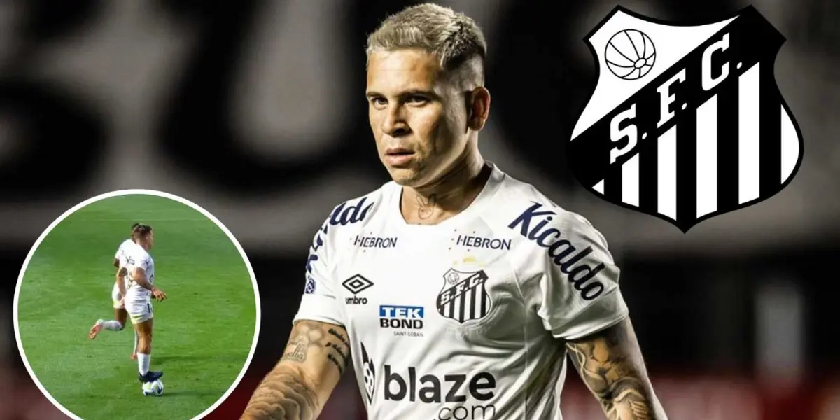 Meio-campista foi um dos principais nomes do Peixe no Brasileirão