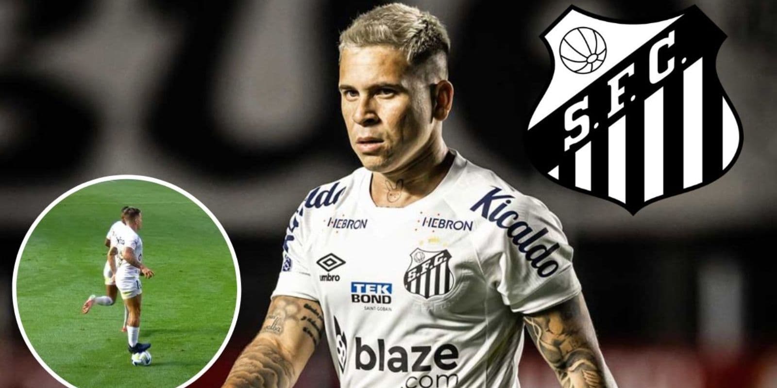 Meio-campista foi um dos principais nomes do Peixe no Brasileirão