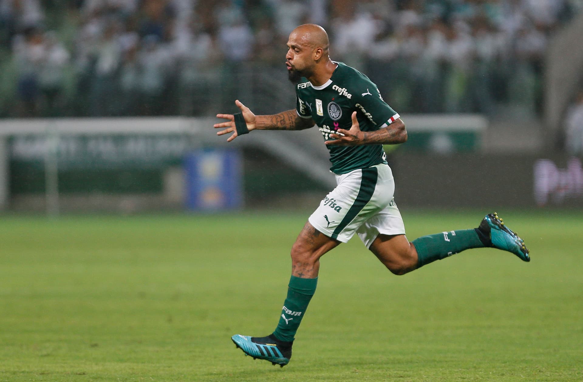 Mudança de comando no Palmeiras é a última esperança de Felipe Melo e Jailson ficarem no Palmeiras