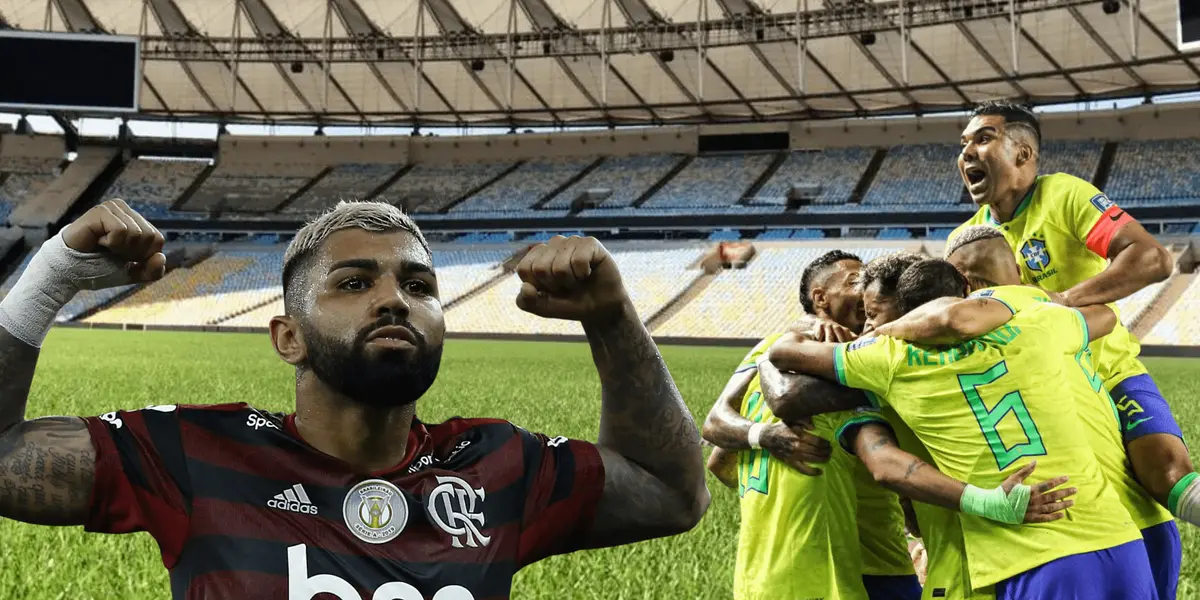 Multicampeão no Vôlei, Bernardinho se ofereceu para trabalhar no futebol do Flamengo