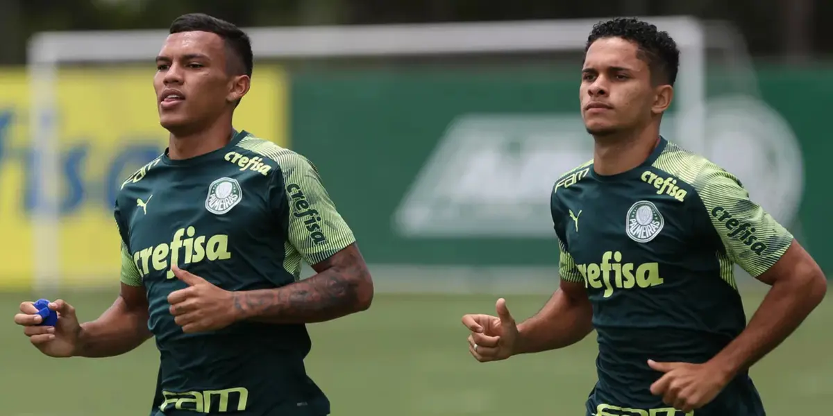 O cria do Palmeiras que pode reforçar o Santos