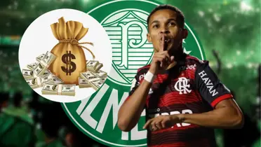 O Palmeiras acabou de fechar contrato com o novo reforço