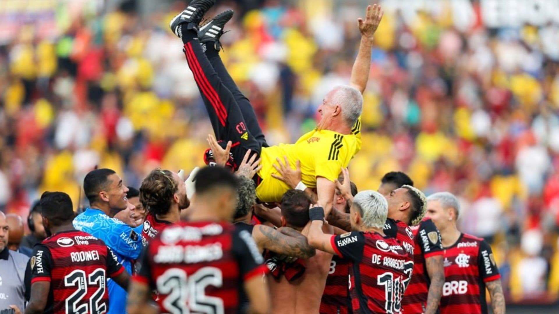 O rubro-negro tentou se antecipar a movimentação da Seleção Brasileira para ter Dorival Jr
