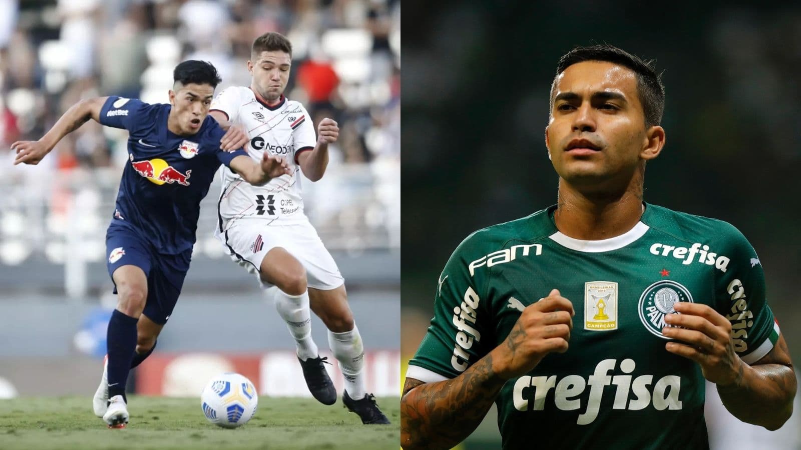 Palmeiras é provocado por finalista da Copa Sul-Americana e vencer Libertadores e Mundial de Clubes vira obrigação