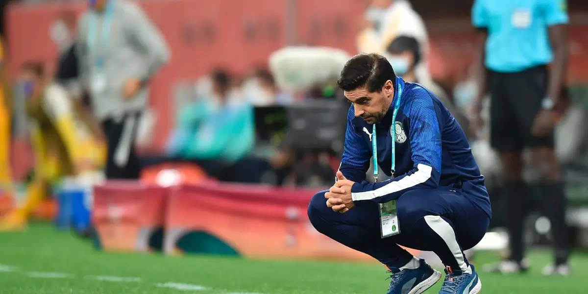 Palmeirenses ficaram preocupados com possível anulação de jogo que teve um final feliz