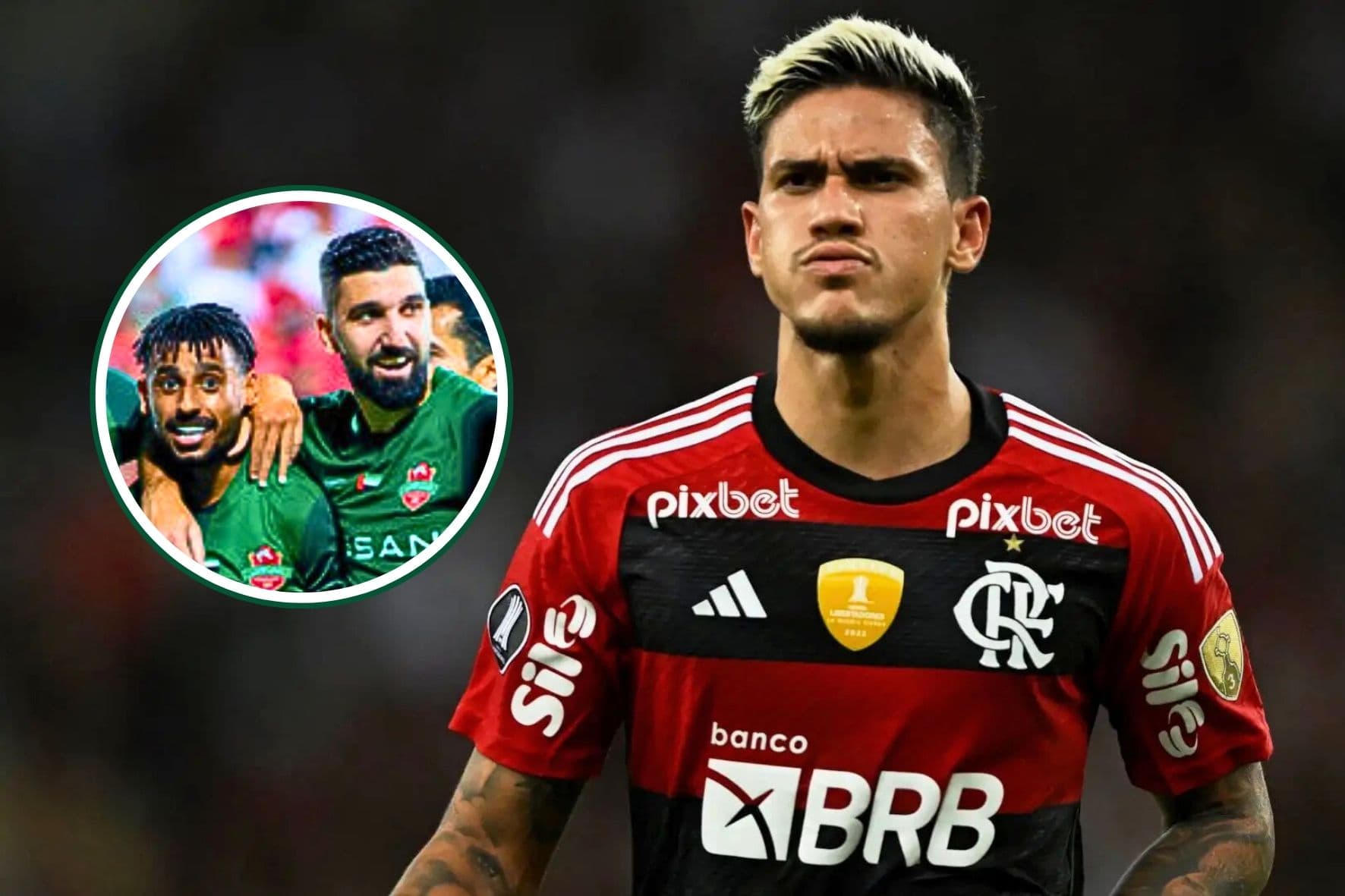 Pedro em destaque