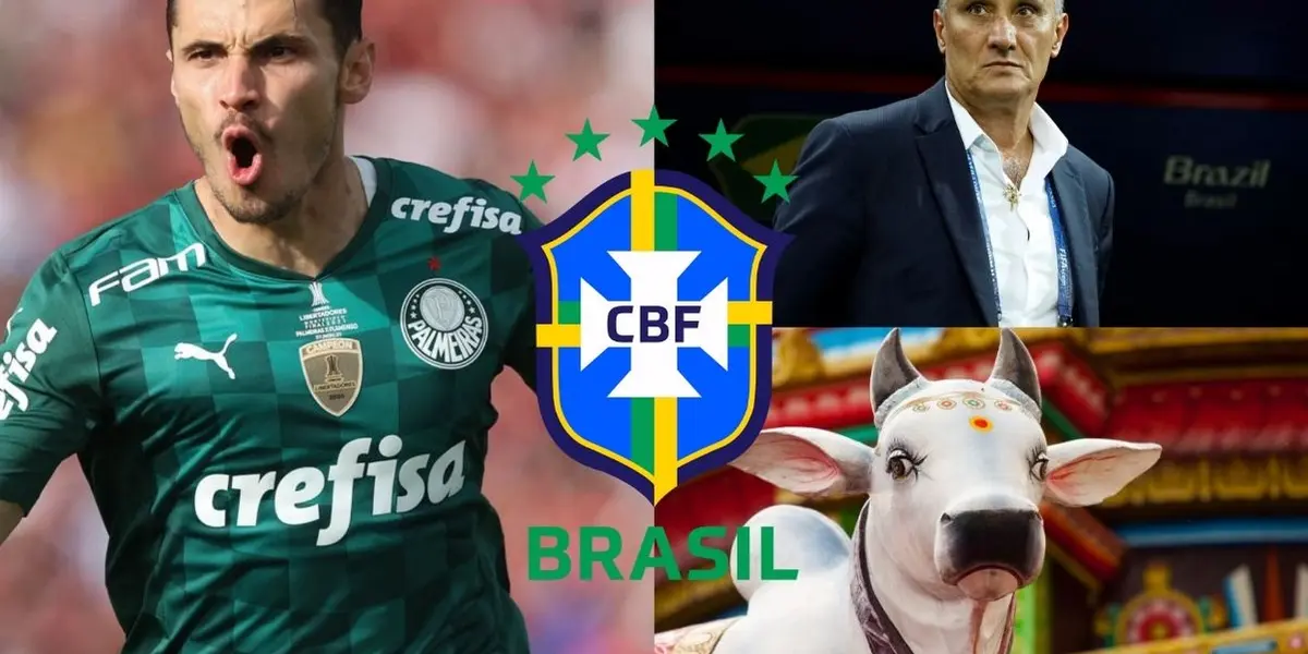 Principal craque do Verdão, Veiga não tem sido lembrado por Tite em convocações