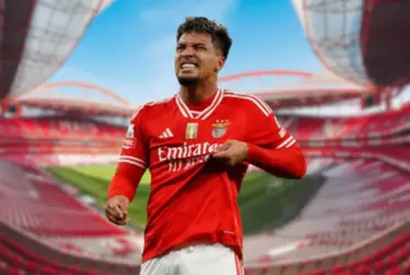 Europeus estão encantados, o que fez Marcos Leonardo em sua estreia no Benfica