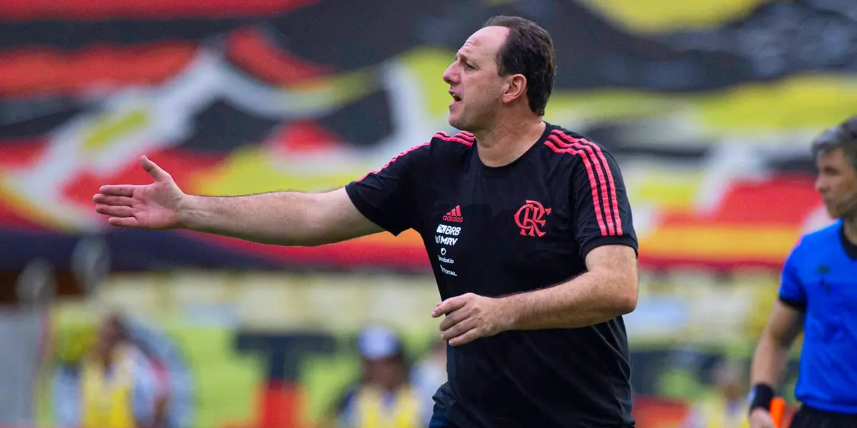 Técnico estava sendo cogitado no Flamengo, mas não deu certo