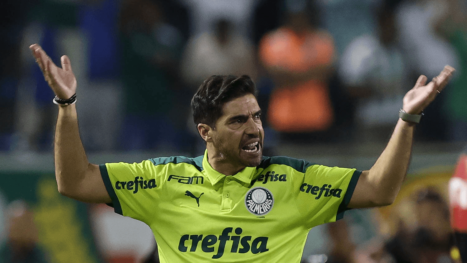 Treinador faz revelação sobre proposta milionária por um de seus jogadores no Verdão