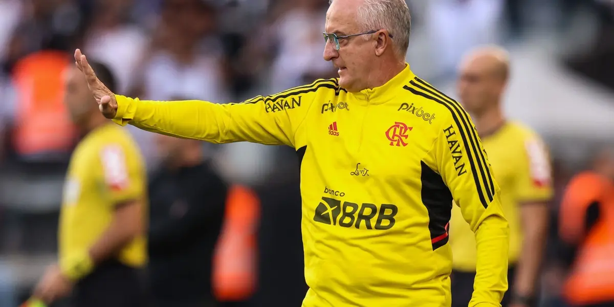 Treinador rubro-negro exaltou a campanha da equipe