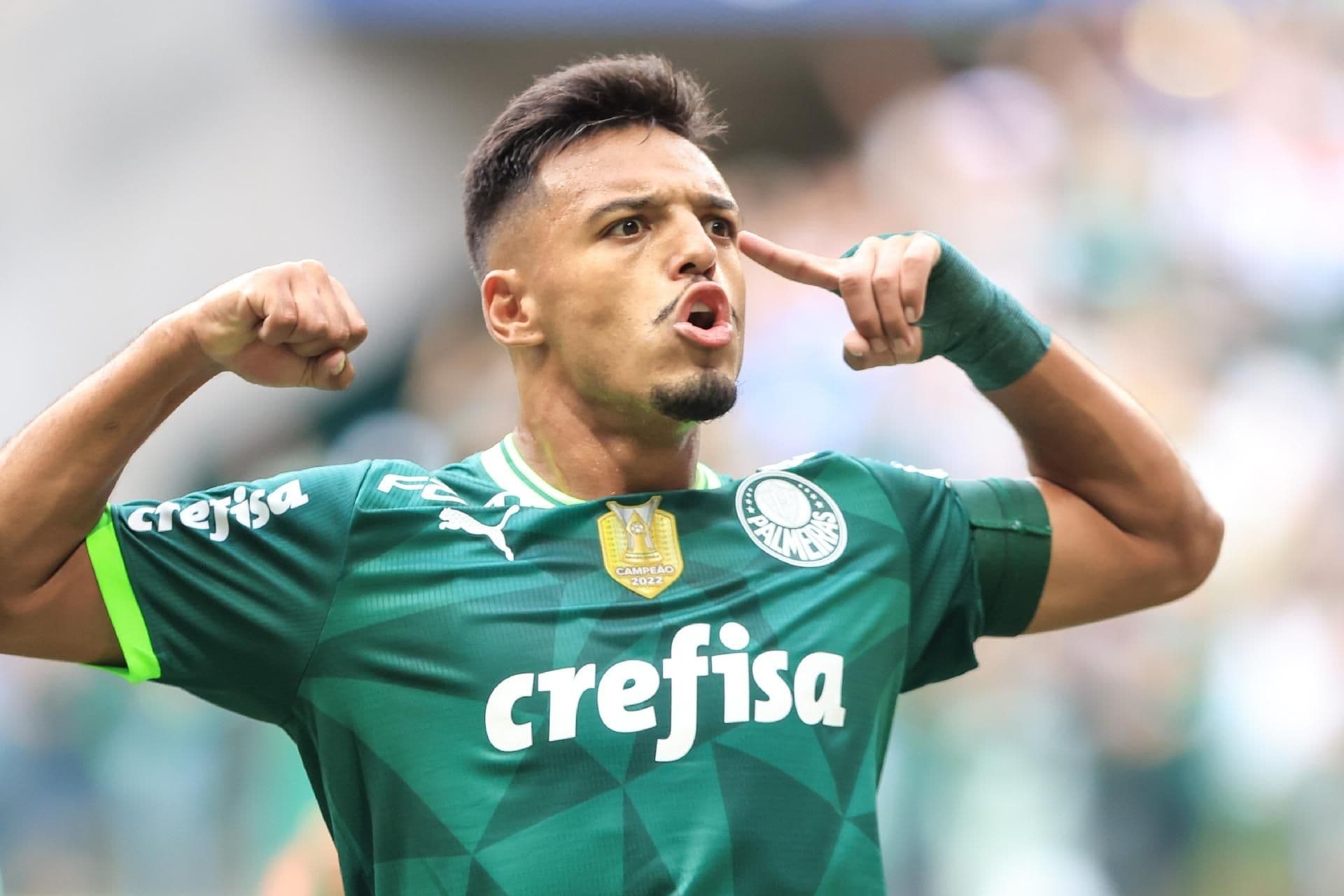 Verdão busca um novo volante para o elenco