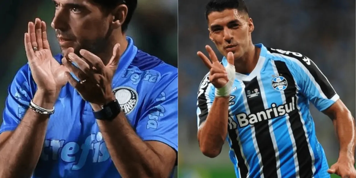 Verdão poderia contratar um craque para o seu elenco