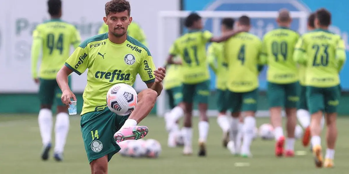 Verdão precisa da vitória após perder três partidas consecutivas na competição