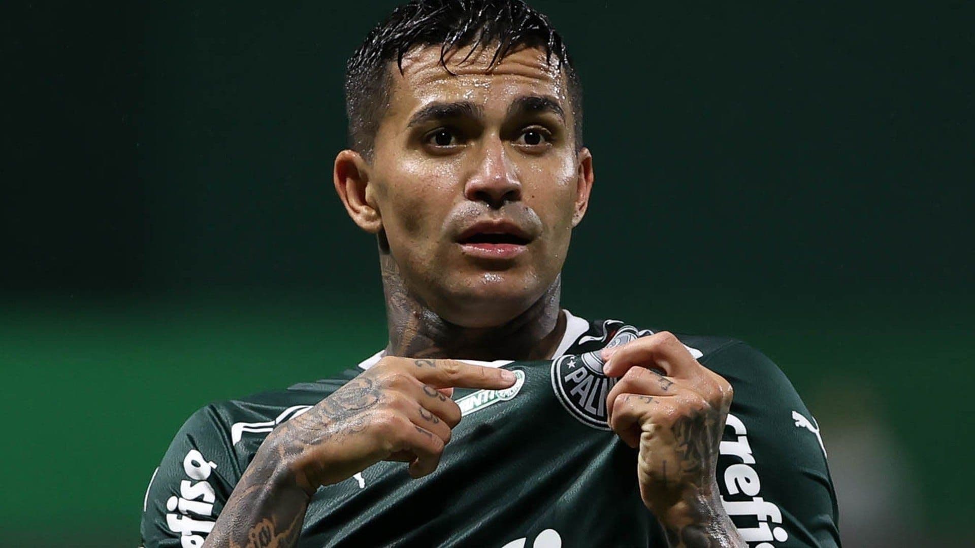 Verdão venceu o Água Santa e foi campeão paulista