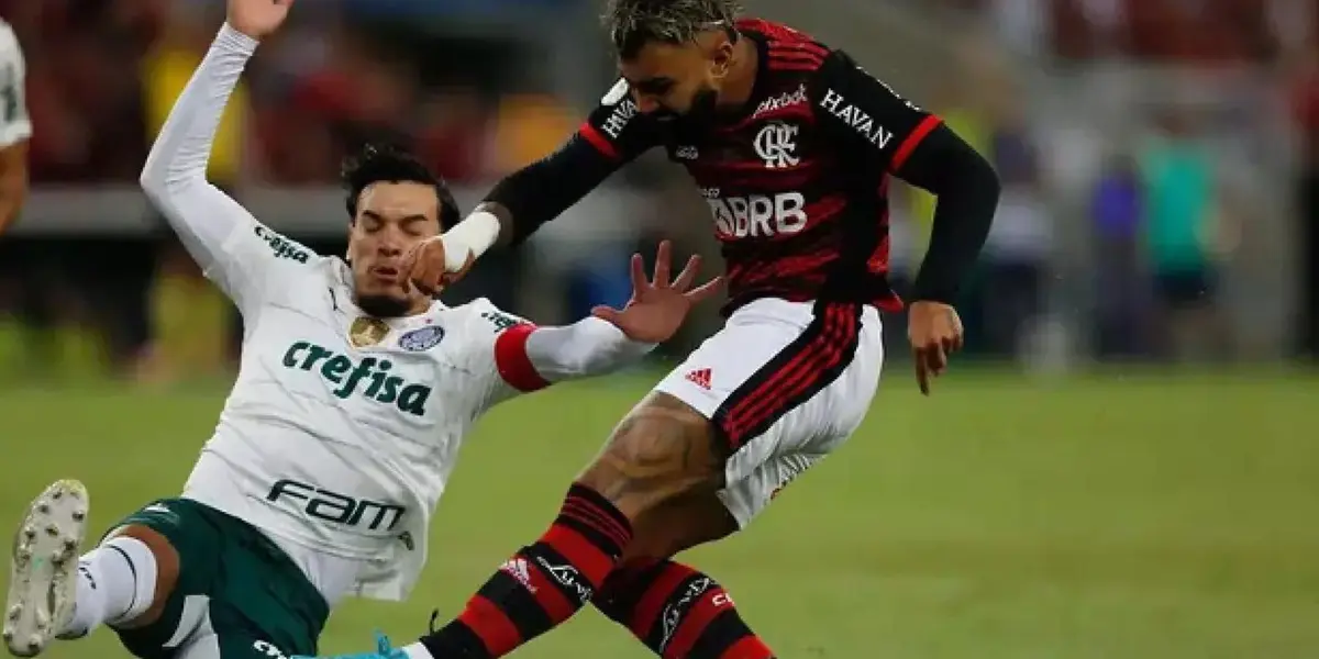 Wilton Pereira Sampaio teve suspensão pedida pelo Flamengo