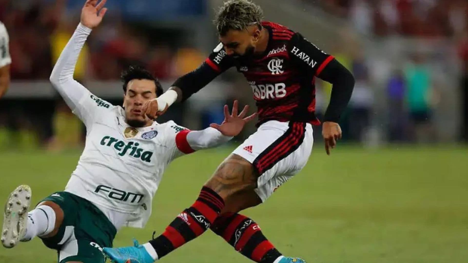 Wilton Pereira Sampaio teve suspensão pedida pelo Flamengo