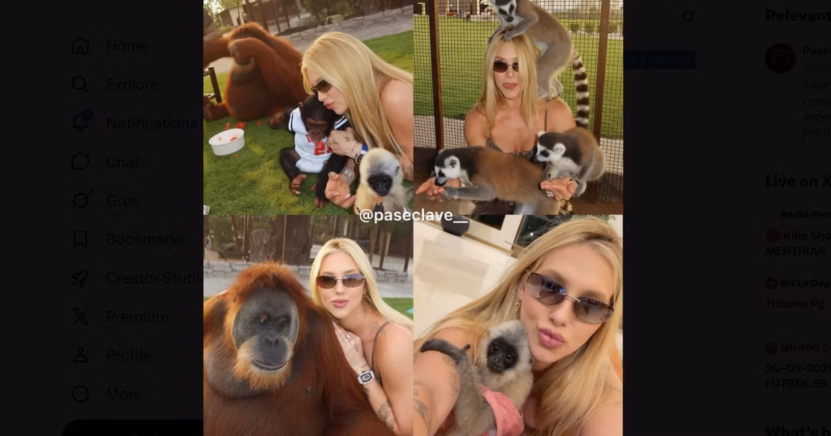 Virginia Fonseca aparece acompanhada de macacos após separação de Vinícius Júnior e viraliza nas redes
